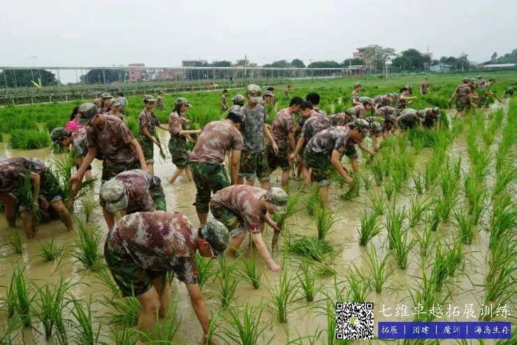 如何制定有效的篮球训练策略以提高球员表现_0